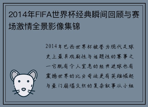 2014年FIFA世界杯经典瞬间回顾与赛场激情全景影像集锦 2014年FIFA世界杯经典瞬间回顾与赛场激情全景影像集锦